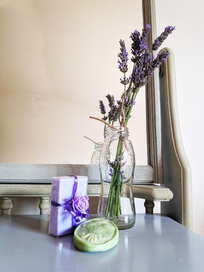 Apartment Soline Pjescana Uvala Bagian luar foto