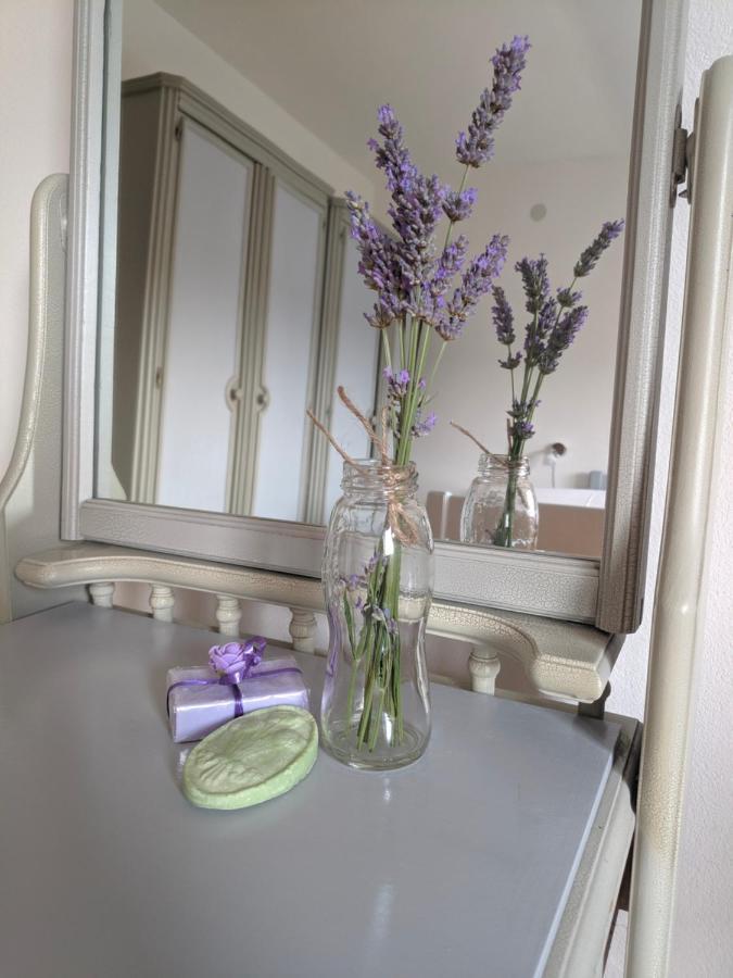 Apartment Soline Pjescana Uvala Bagian luar foto