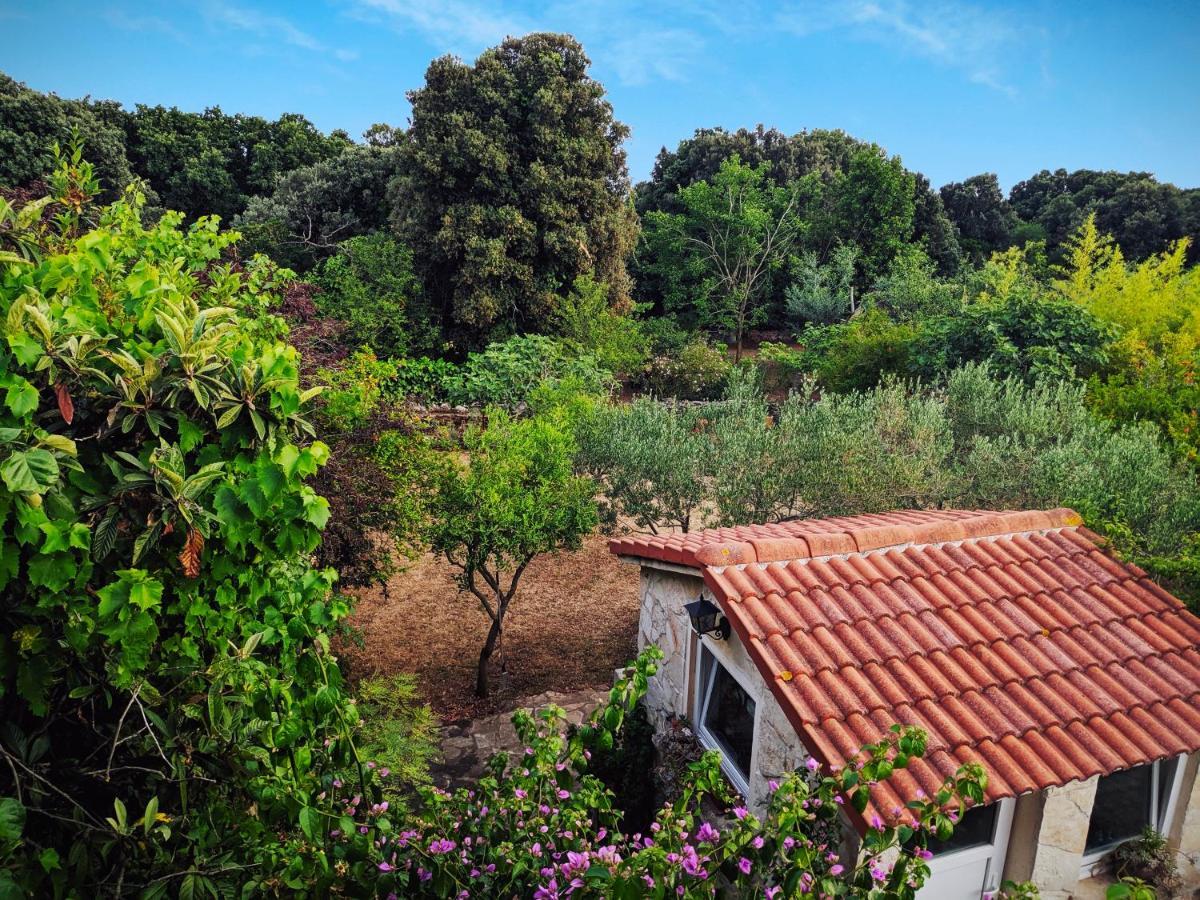 Apartment Soline Pjescana Uvala Bagian luar foto