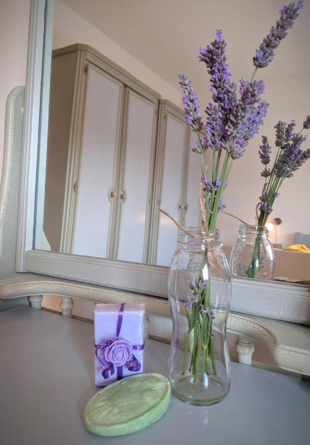 Apartment Soline Pjescana Uvala Bagian luar foto